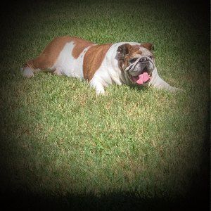 Meet your Posher, Robert